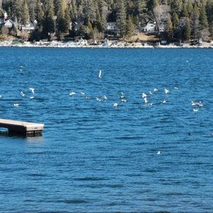 Meet your Posher, Alejandra